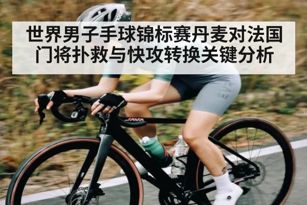 世界男子手球锦标赛丹麦对法国门将扑救与快攻转换关键分析